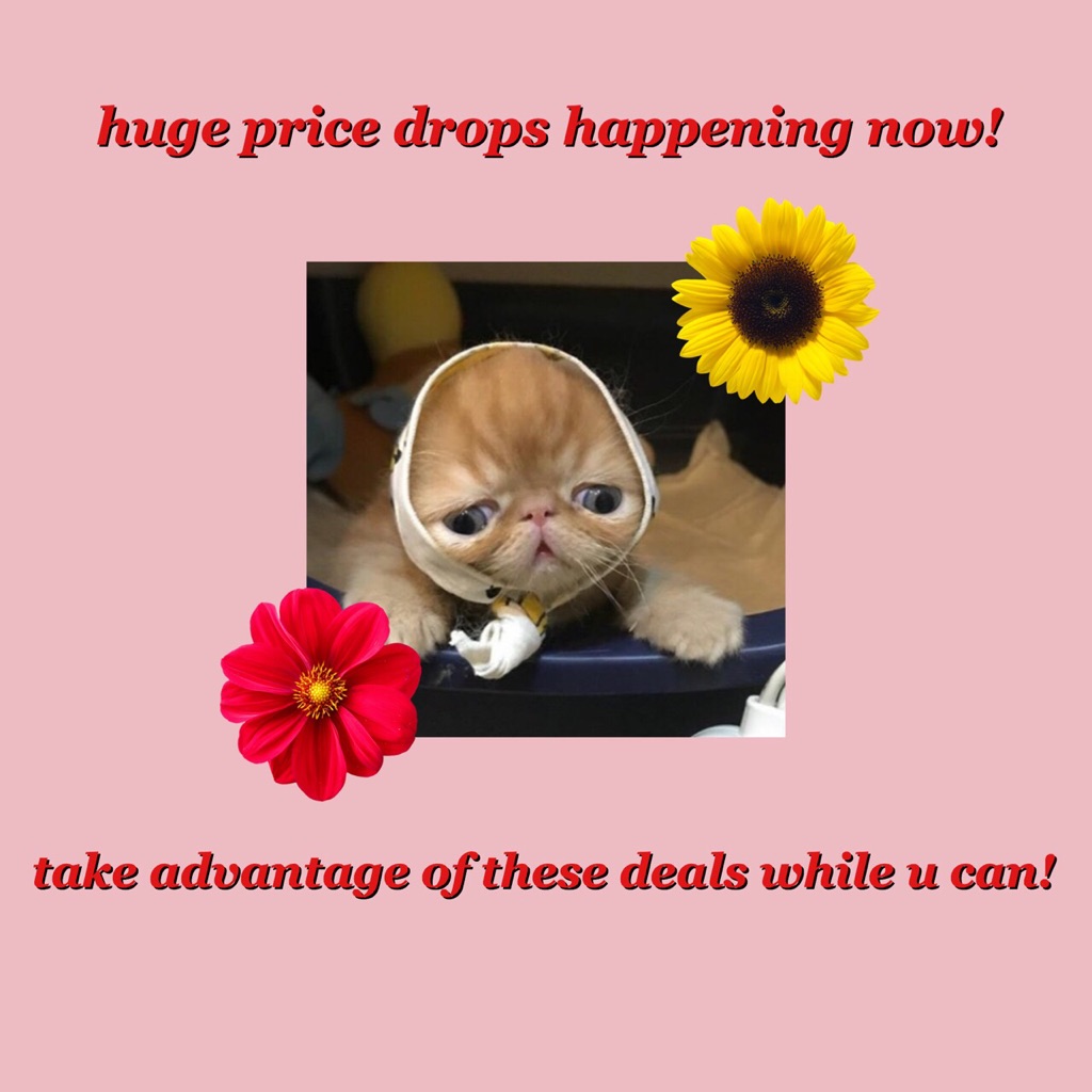 Dropping Prices On Practically Everything